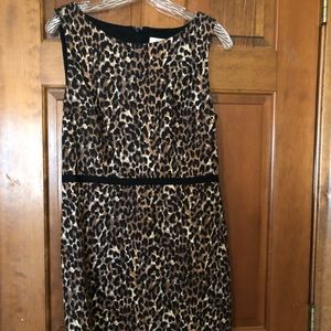 Loft Leopard fitted Dress SZ 6